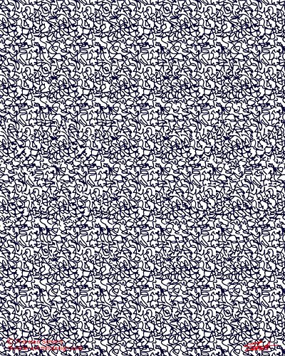 Can you see the hidden image? What is it?