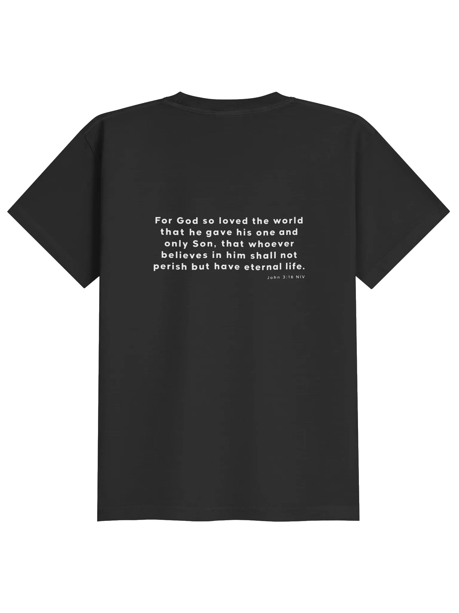 Biblical Truths: Black Saved Youth product image (2)