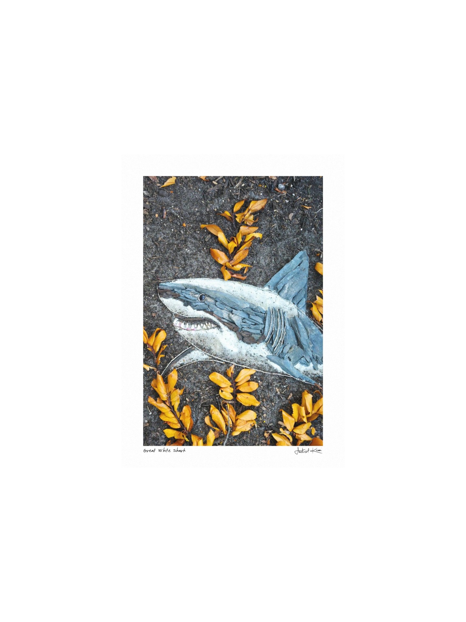 GREAT WHITE SHARK | Mini Print product image (1)