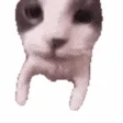 animated twitch emote product image (1)
