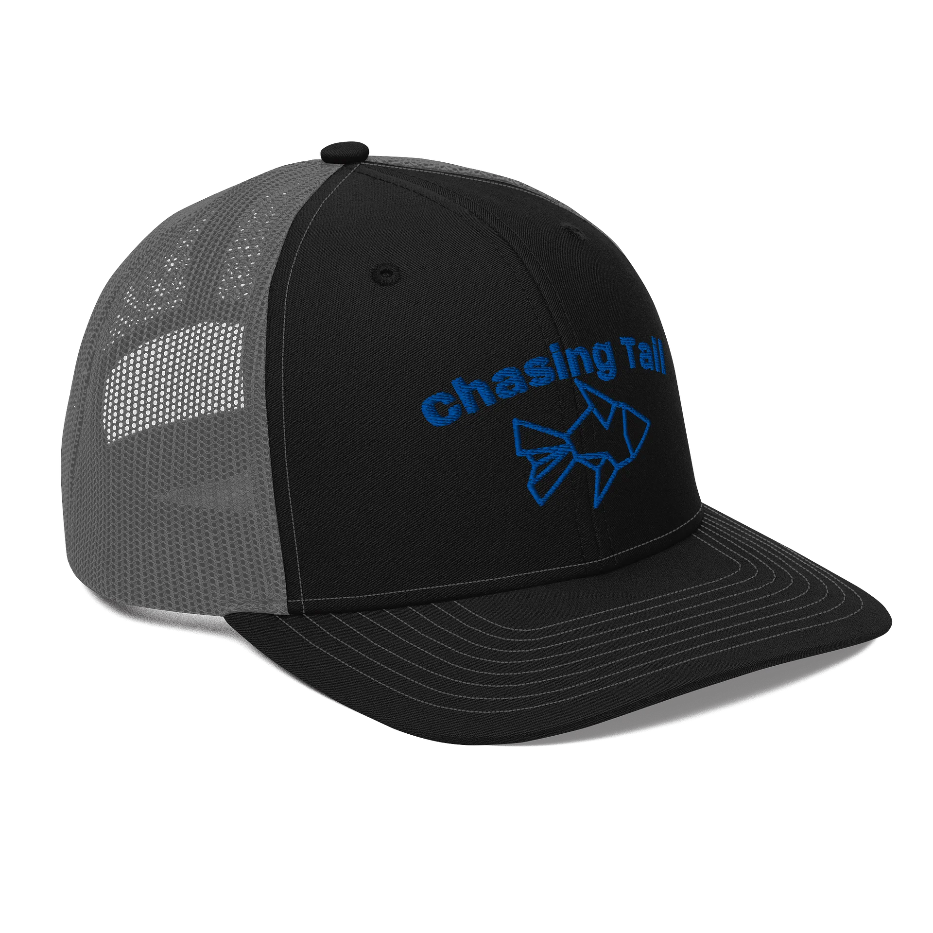 Chasing tail product image (4)