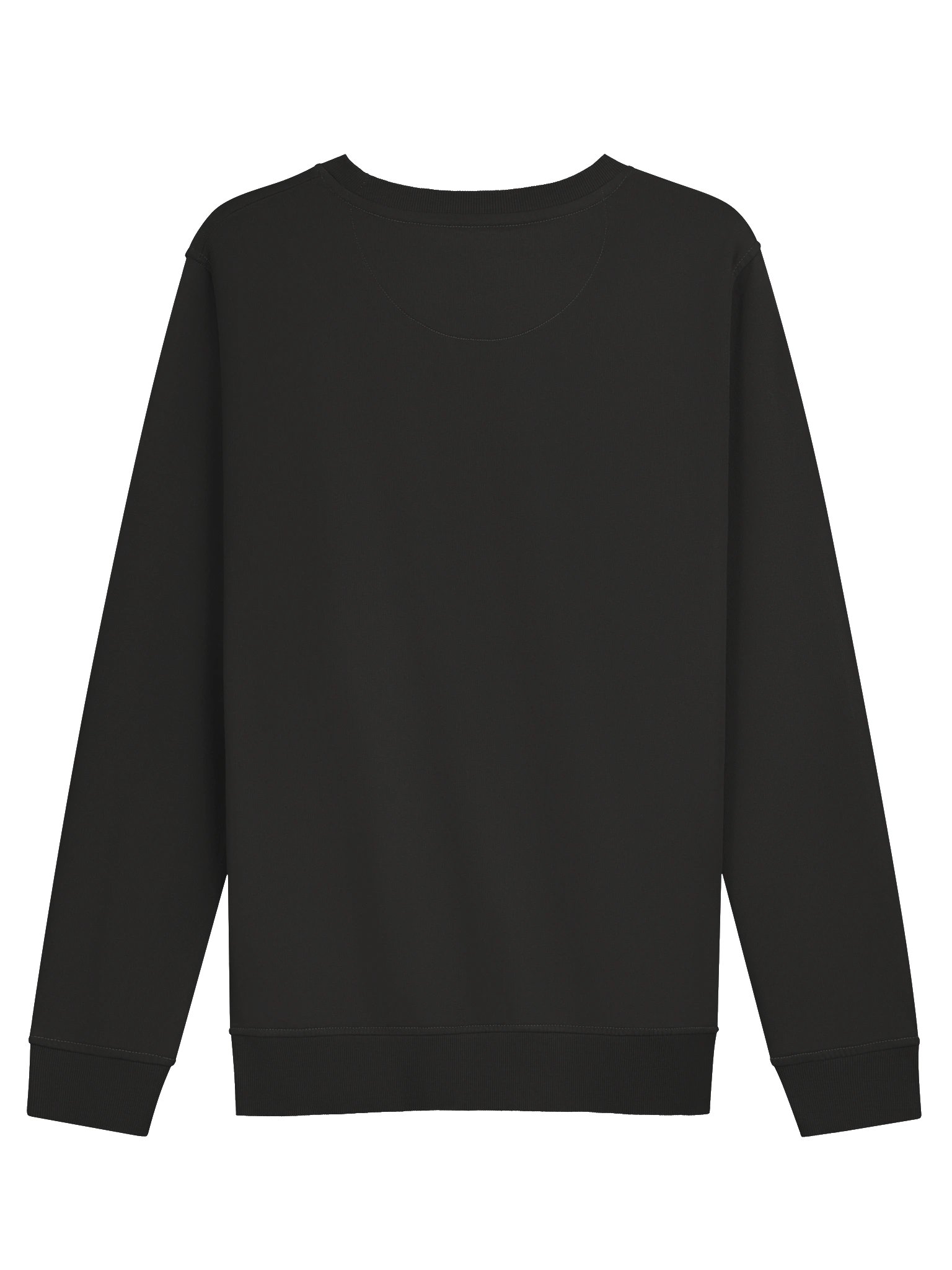Blast in Florence Organic Sweatshirt product image (4)
