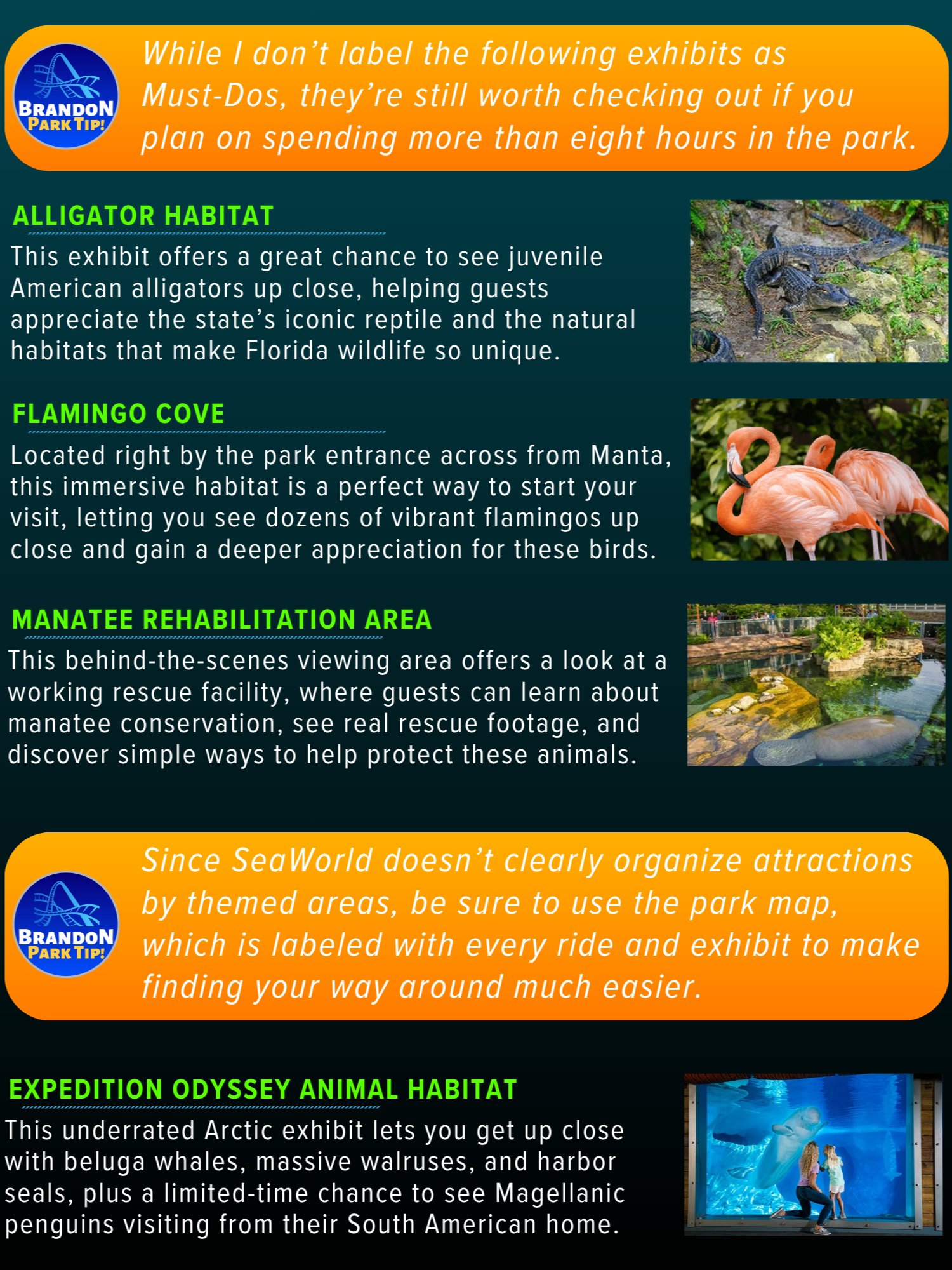 SeaWorld Orlando Guide 2026 | 55-Page Printable Digital PDF, Instant Download product image (4)