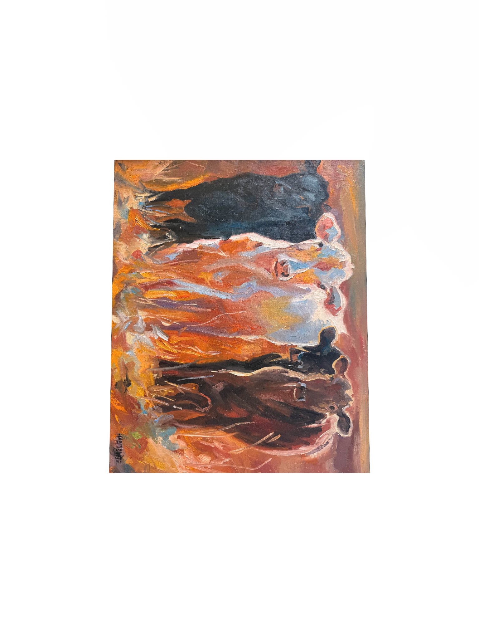 Heifers in Pasture Print product image (14)