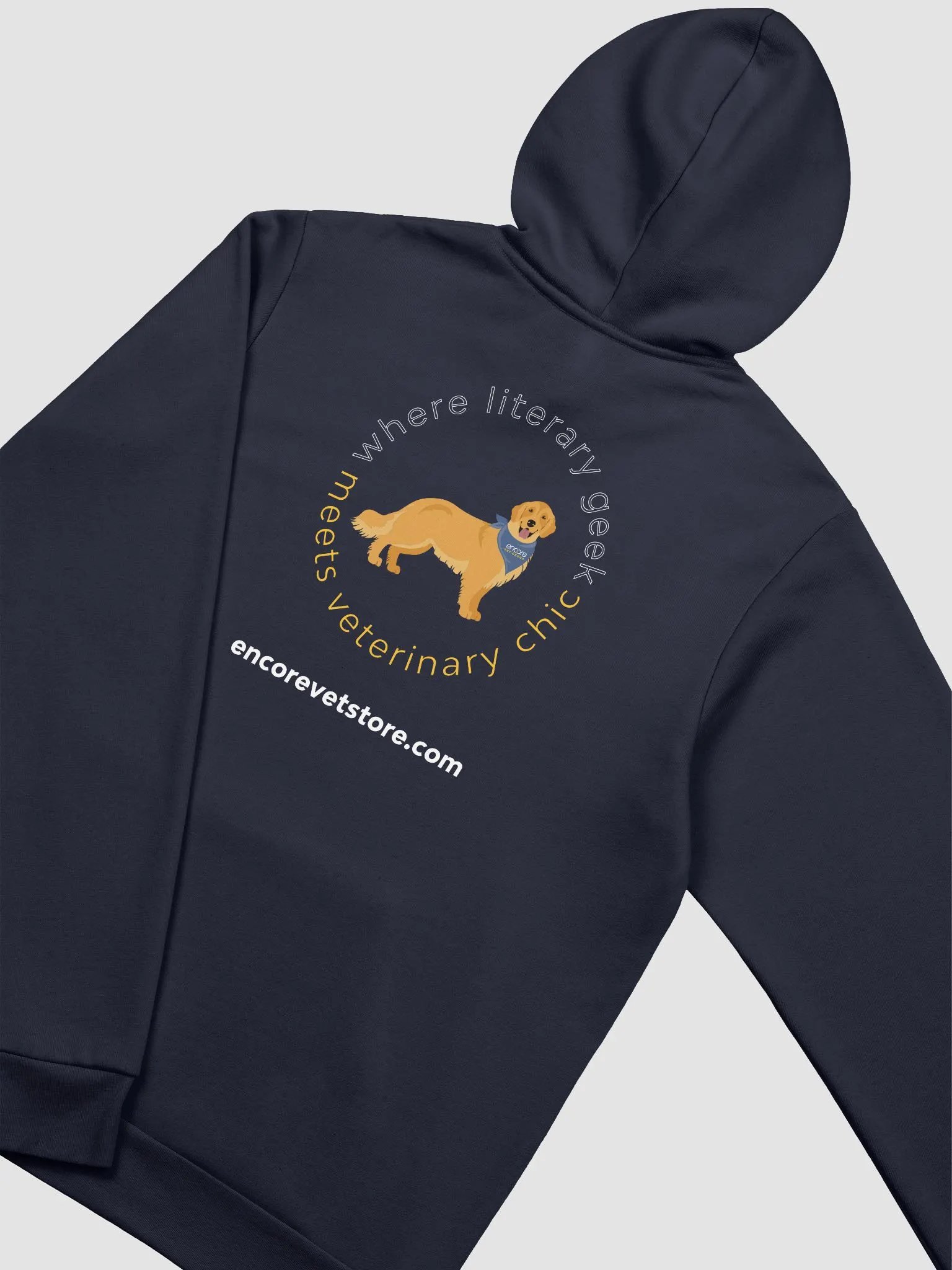 Encore Recruiting Bella+Canvas Hoodie product image (4)