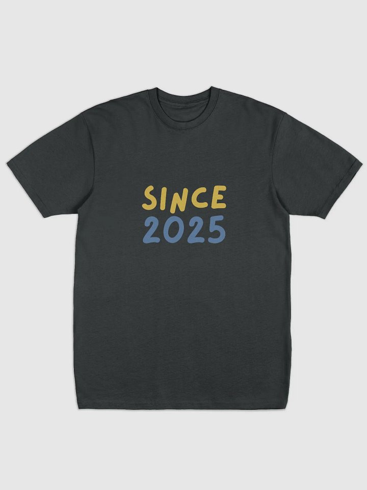 Since 2025 Men's Premium Tee product image (3)