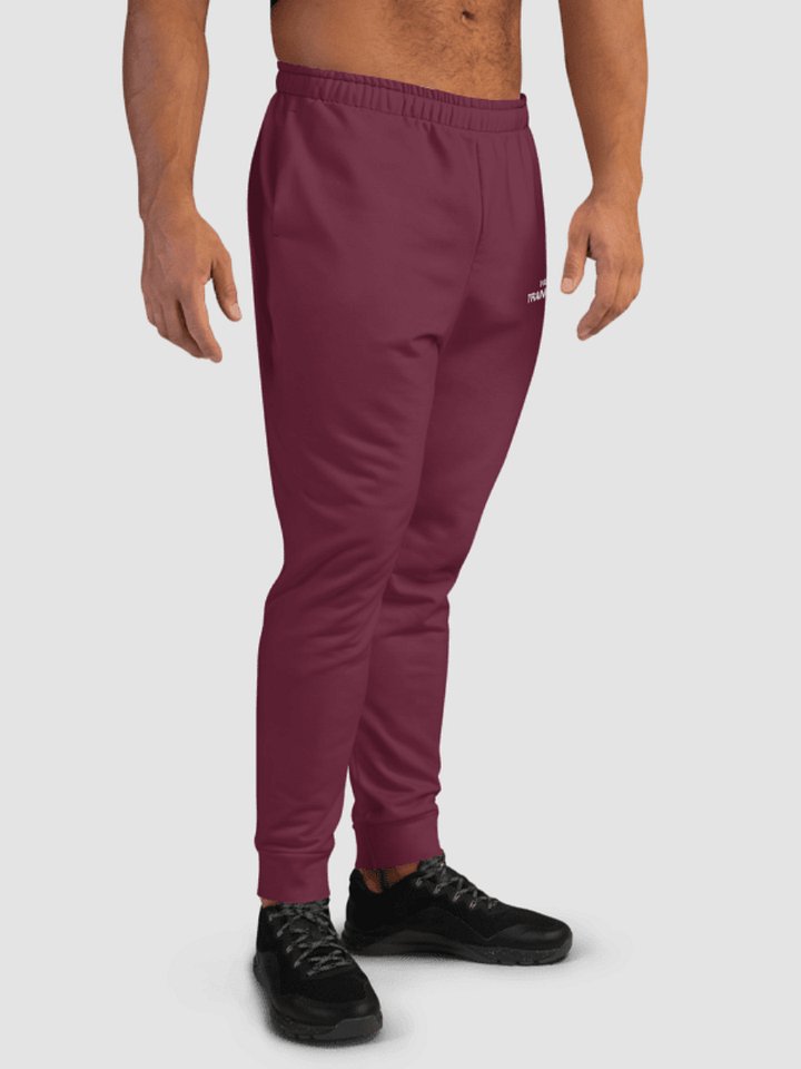 Training Club Joggers - Plum product image (2)