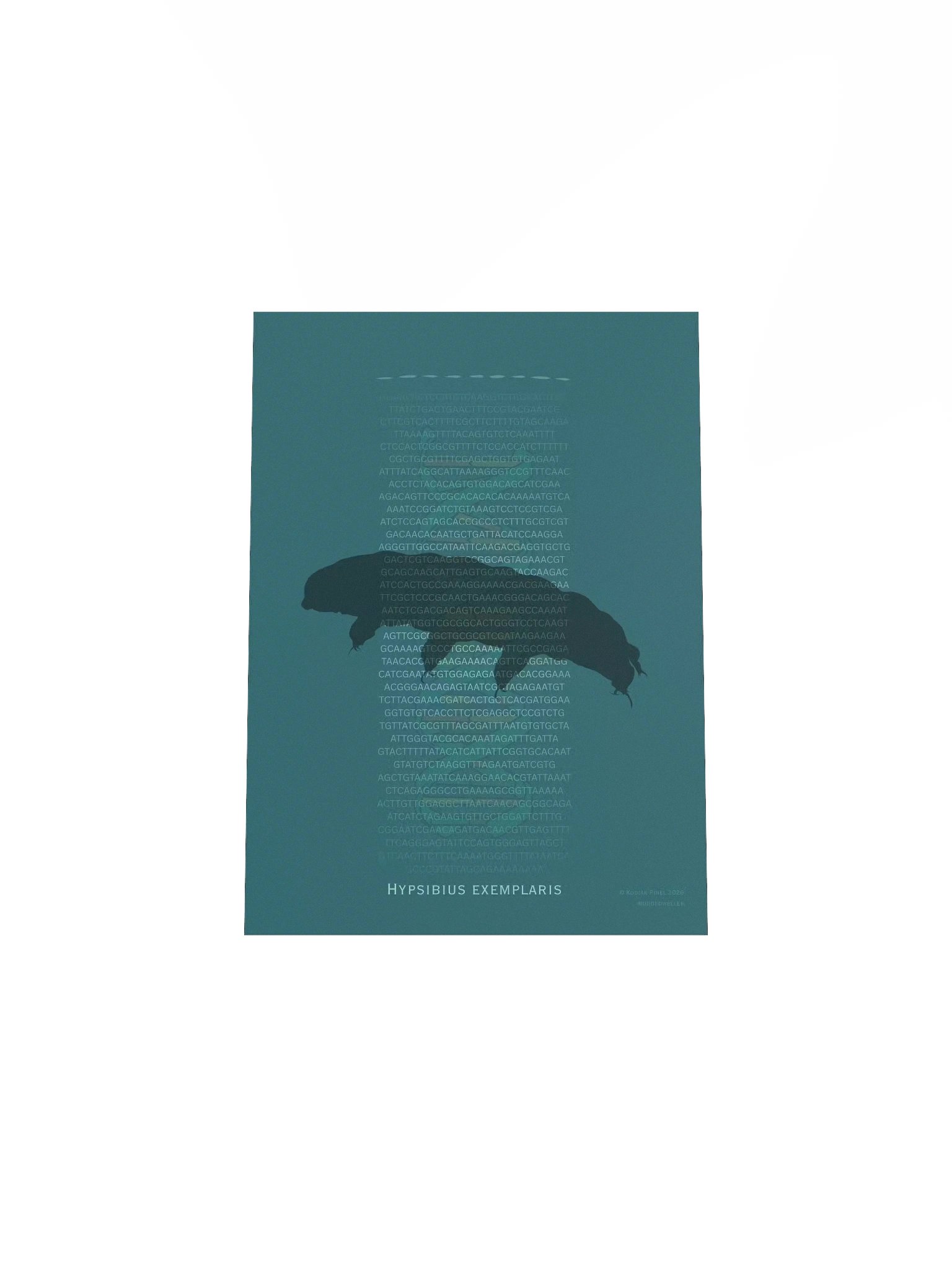 Tardigrade Genome Poster product image (4)