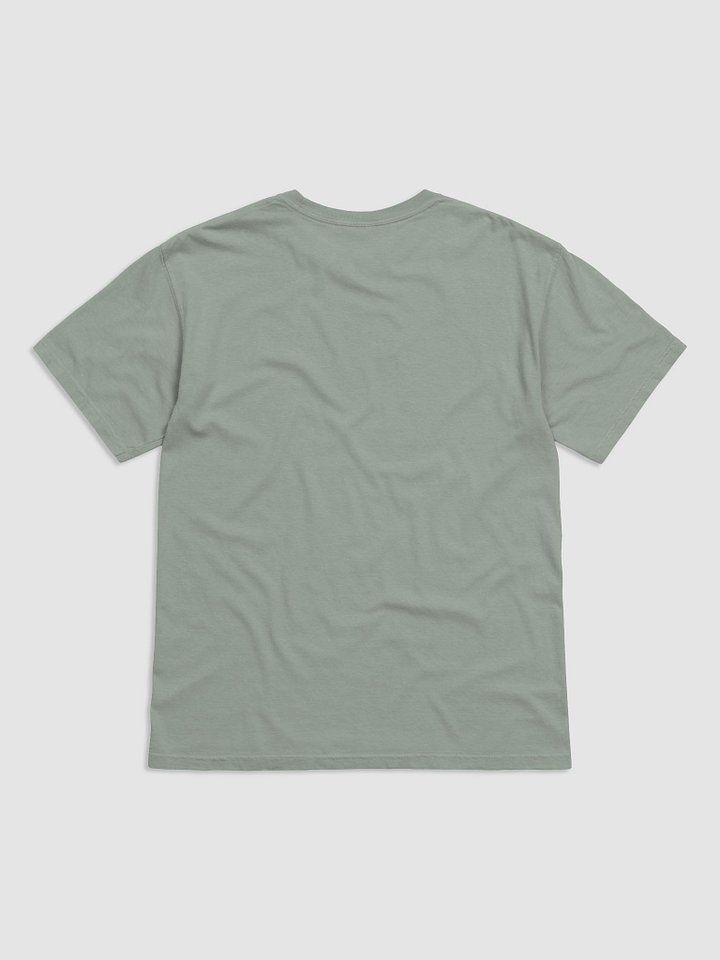 It's Not Just a Phase- Ace T Shirt product image (16)