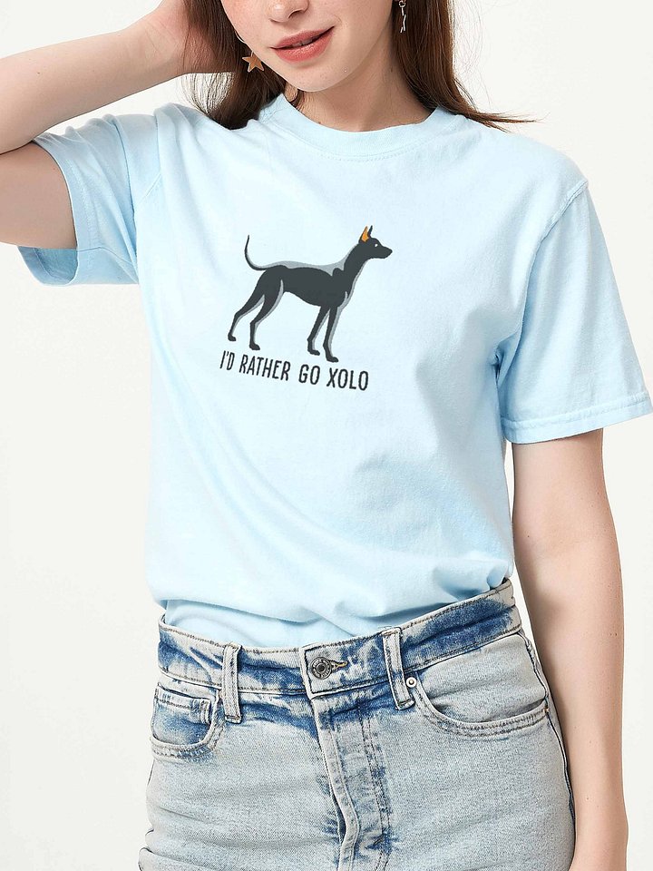 I'd Rather Go Xolo T-Shirt(Embroidered) of a Mexican Hairless Dog/Xoloitzcuintli(Black) product image (2)
