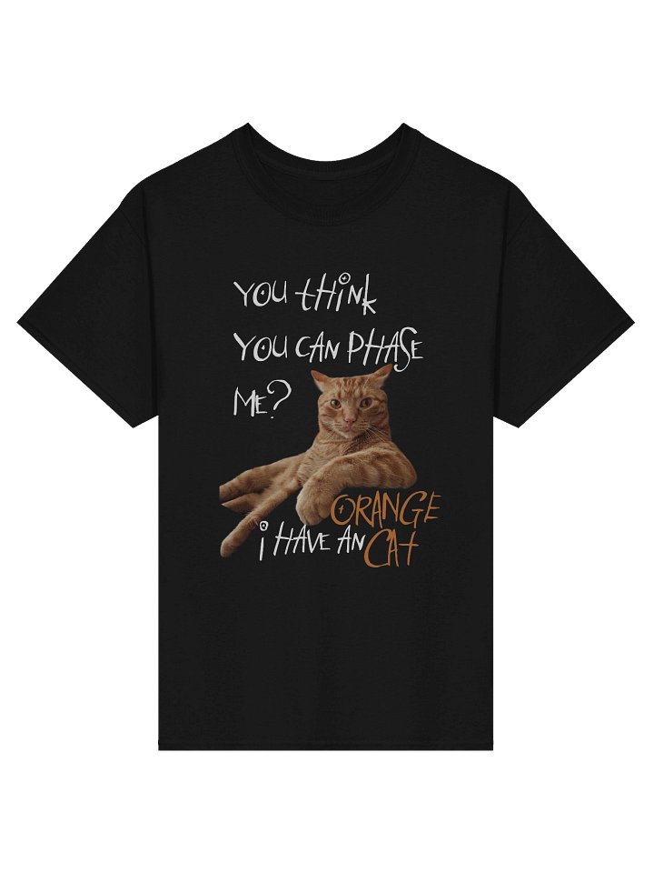 I HAVE AN ORANGE CAT TEE product image (1)