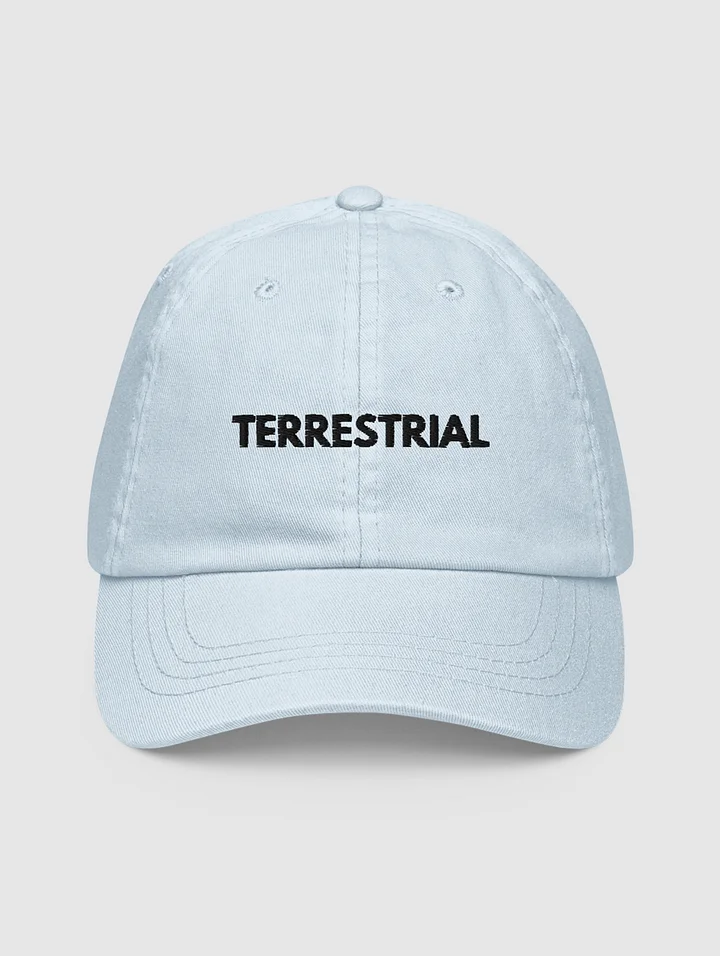 Classic Logo Pastel Hat product image (1)