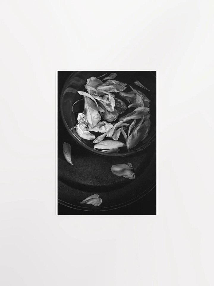 Floating Petals - Print product image (2)