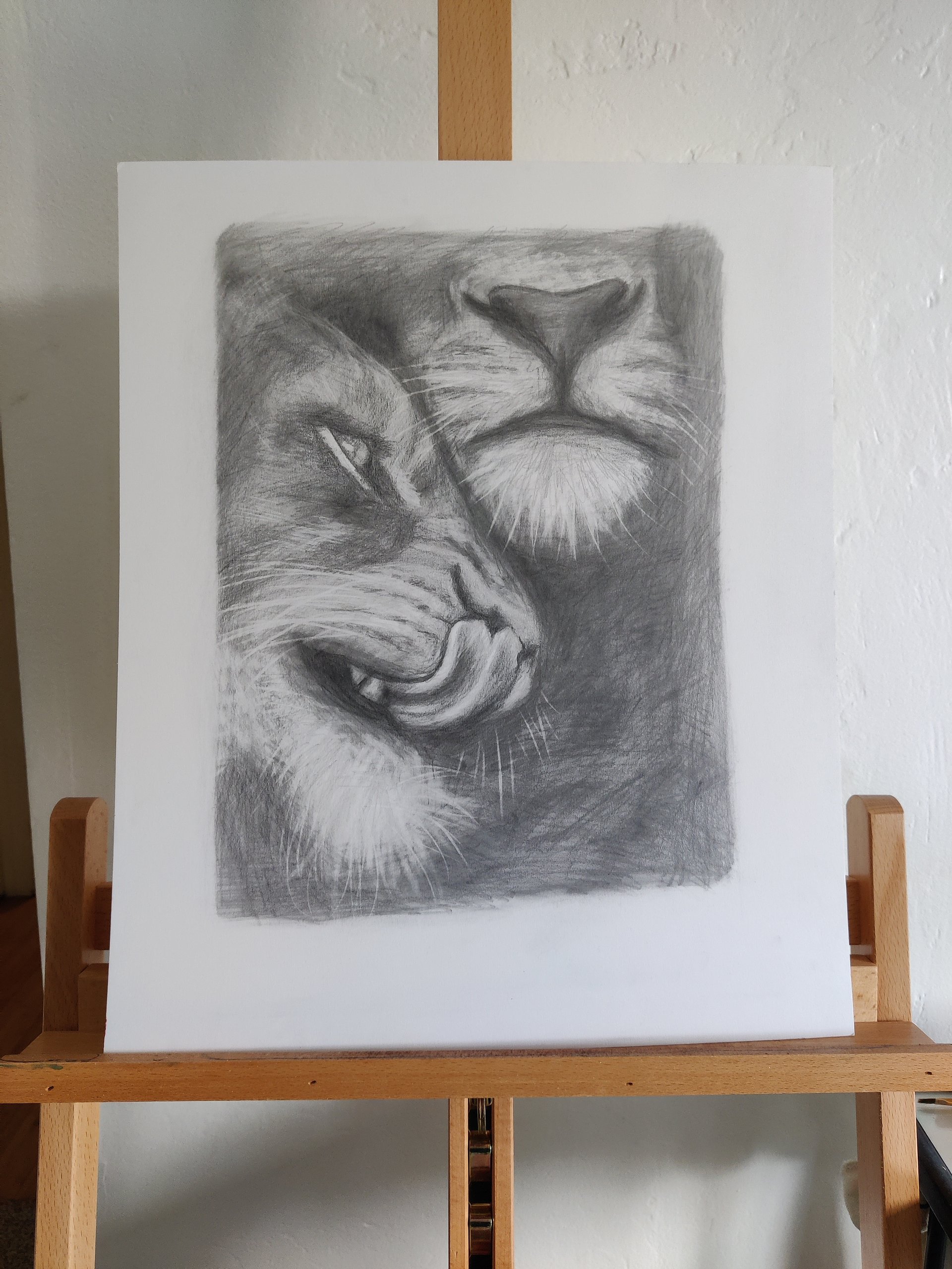Graphite Lions Study product image (1)