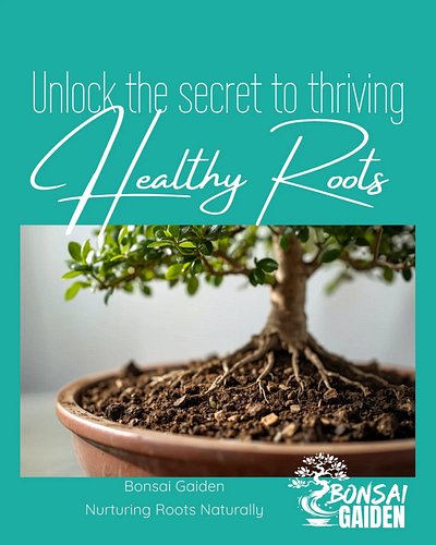 Healthy roots don’t happen by accident.

In containers, the root zone is the whole world. When soil holds too much water and ...
