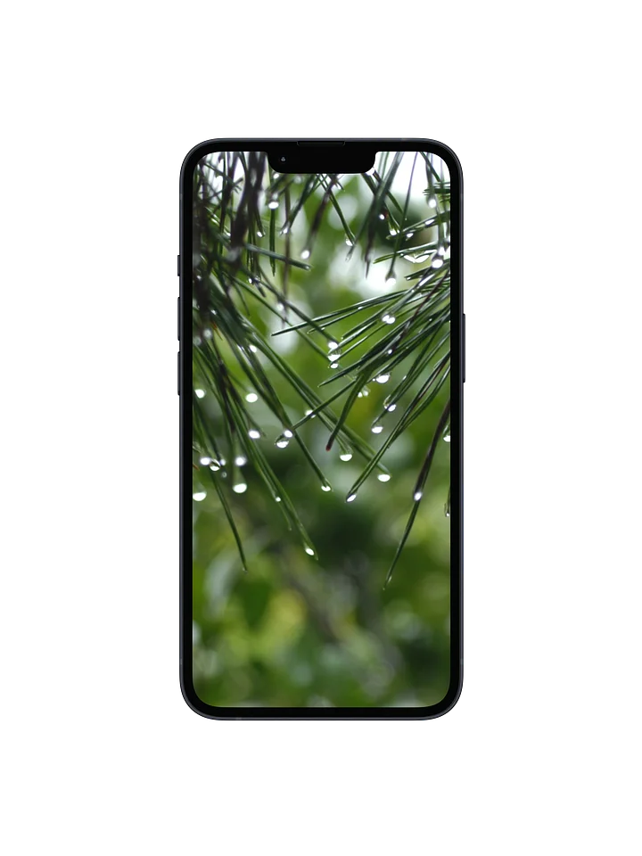 Pine Rain Digital Wallpaper Set product image (1)