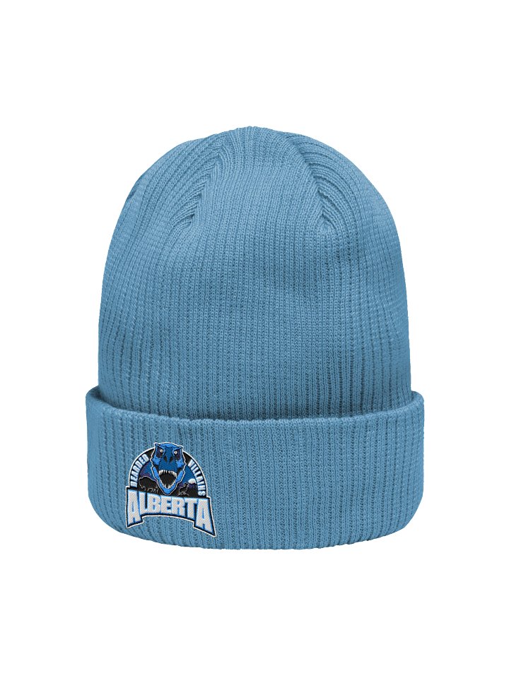 winter beenie product image (12)