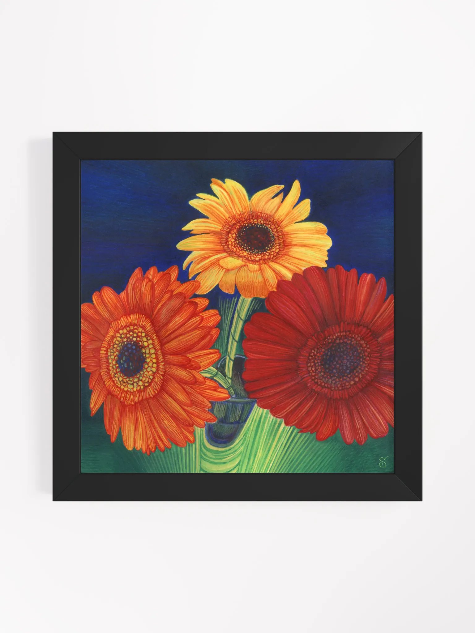 Vibrant Matte Poster in Ayous Wood Frame - 3 Bright Gerberas product image (11)