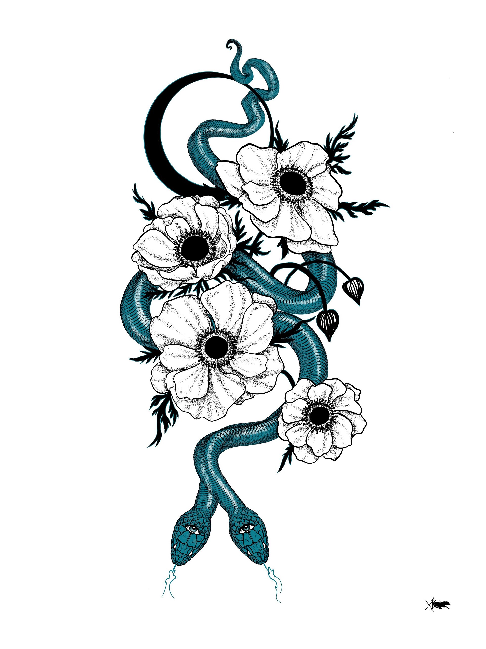 Anemone product image (4)
