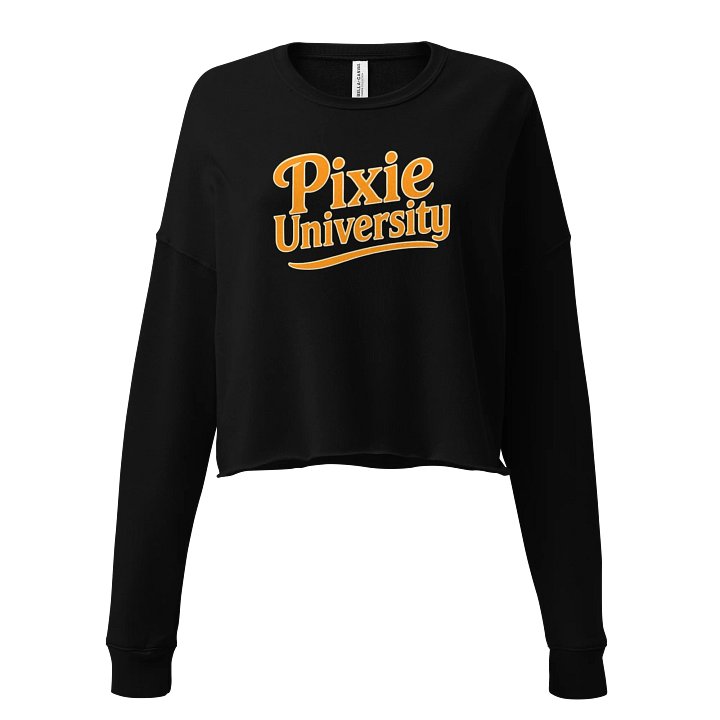Pixie University Crop top product image (2)