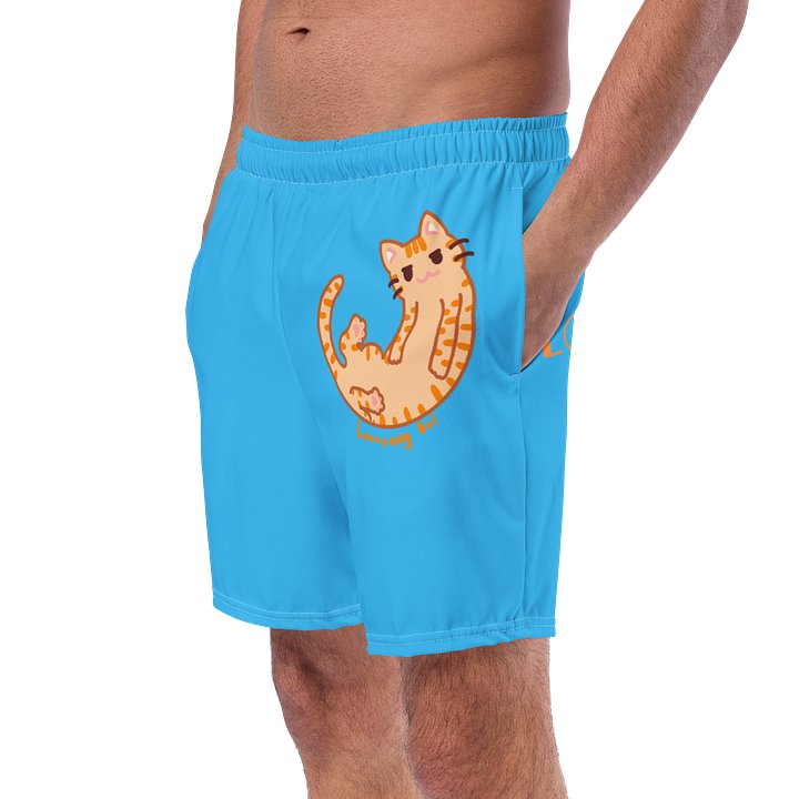 Looooong Boi Swim Shorts product image (2)