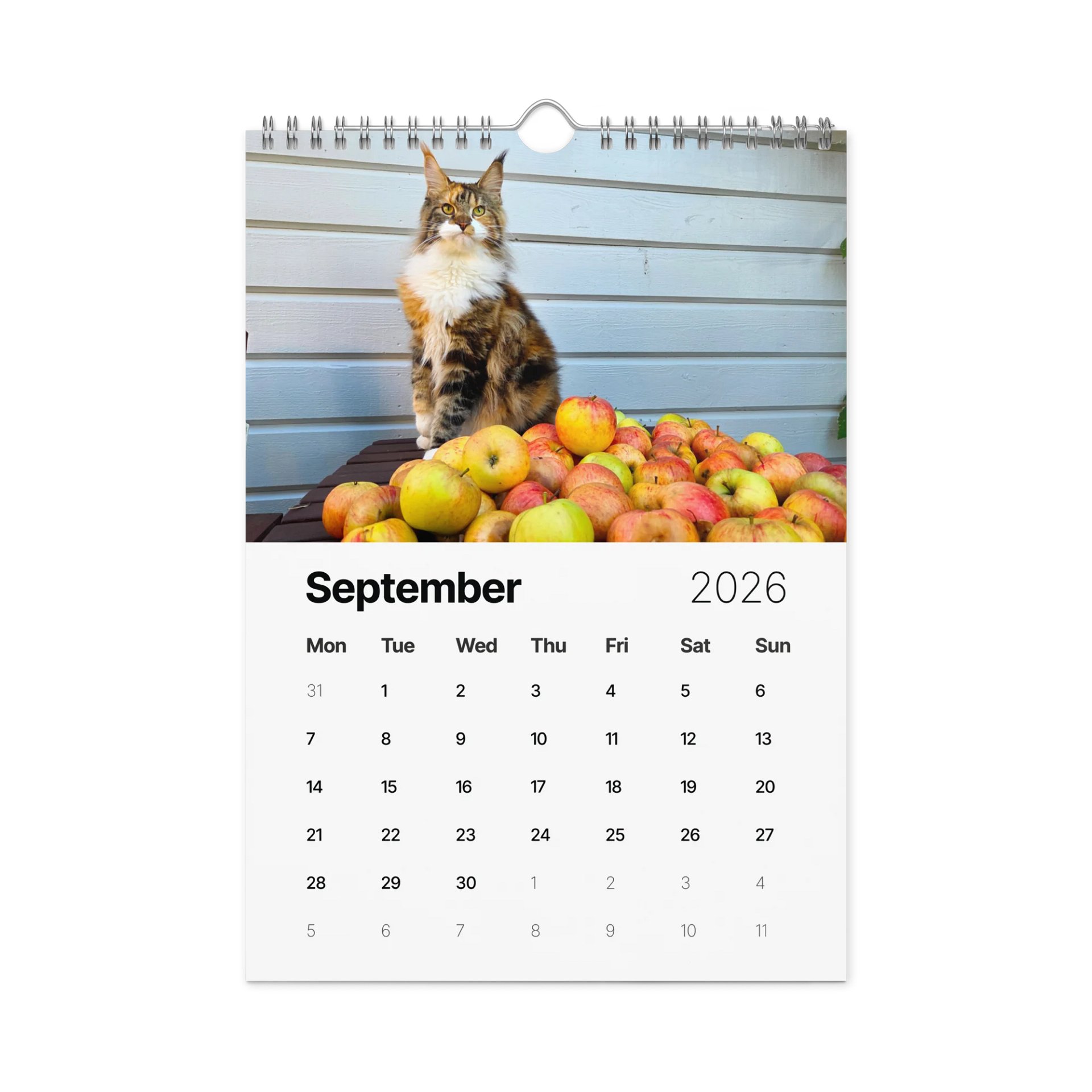 2026 Calendar - Maine Coon Adventures + Kittens product image (10)
