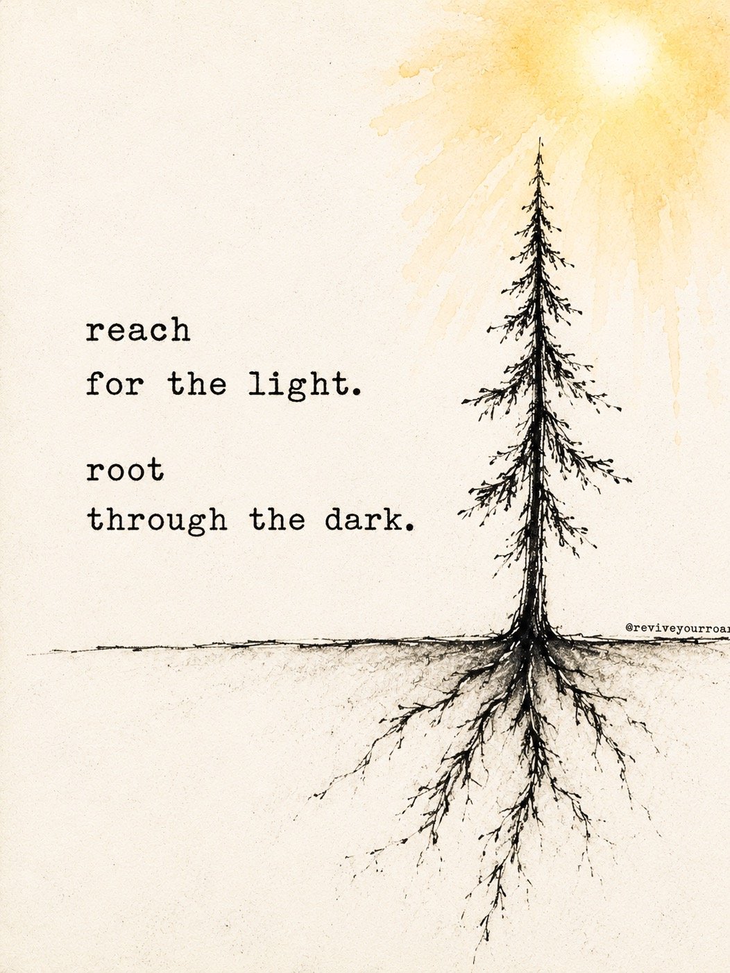 Reach and root product image (1)