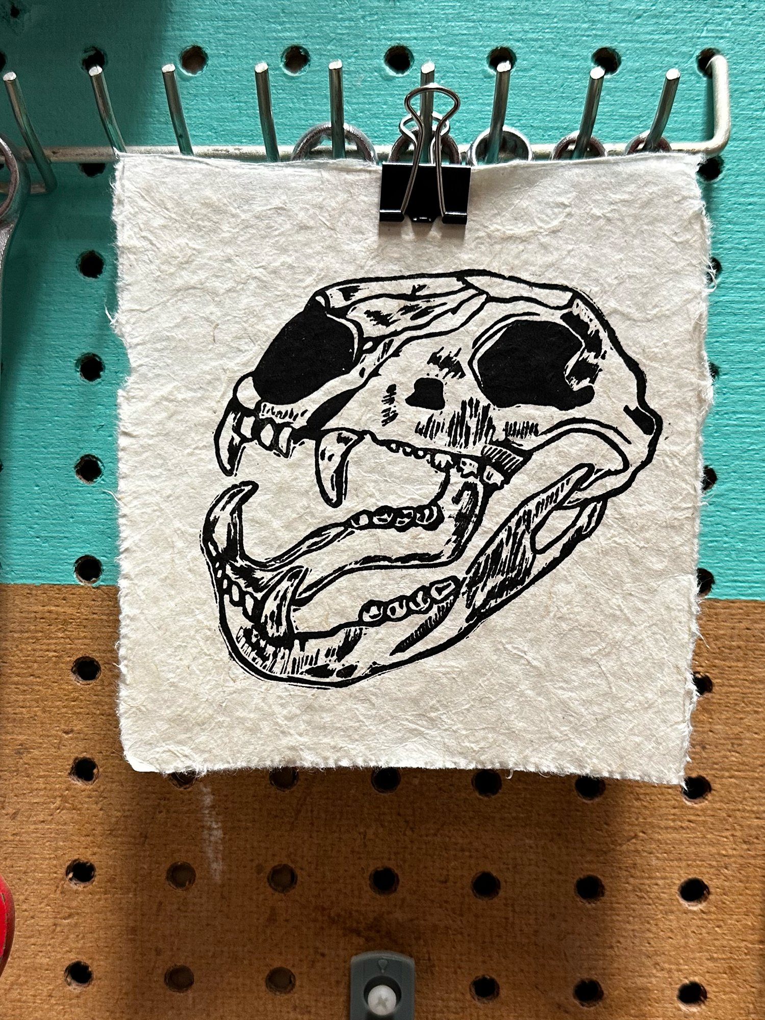 Bear Skull product image (1)
