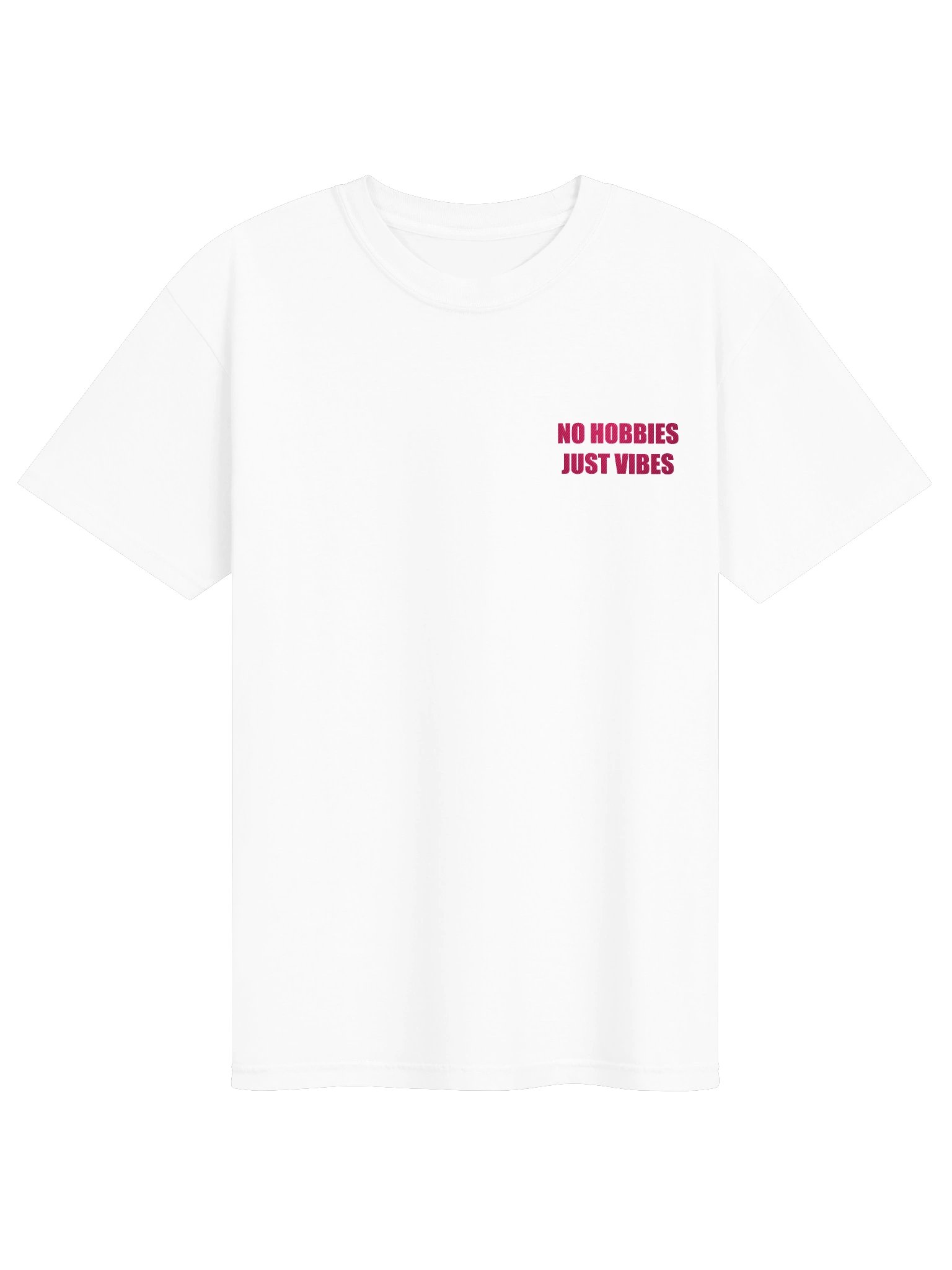 NO HOBBIES T-SHIRT - EMBROIDERED product image (1)
