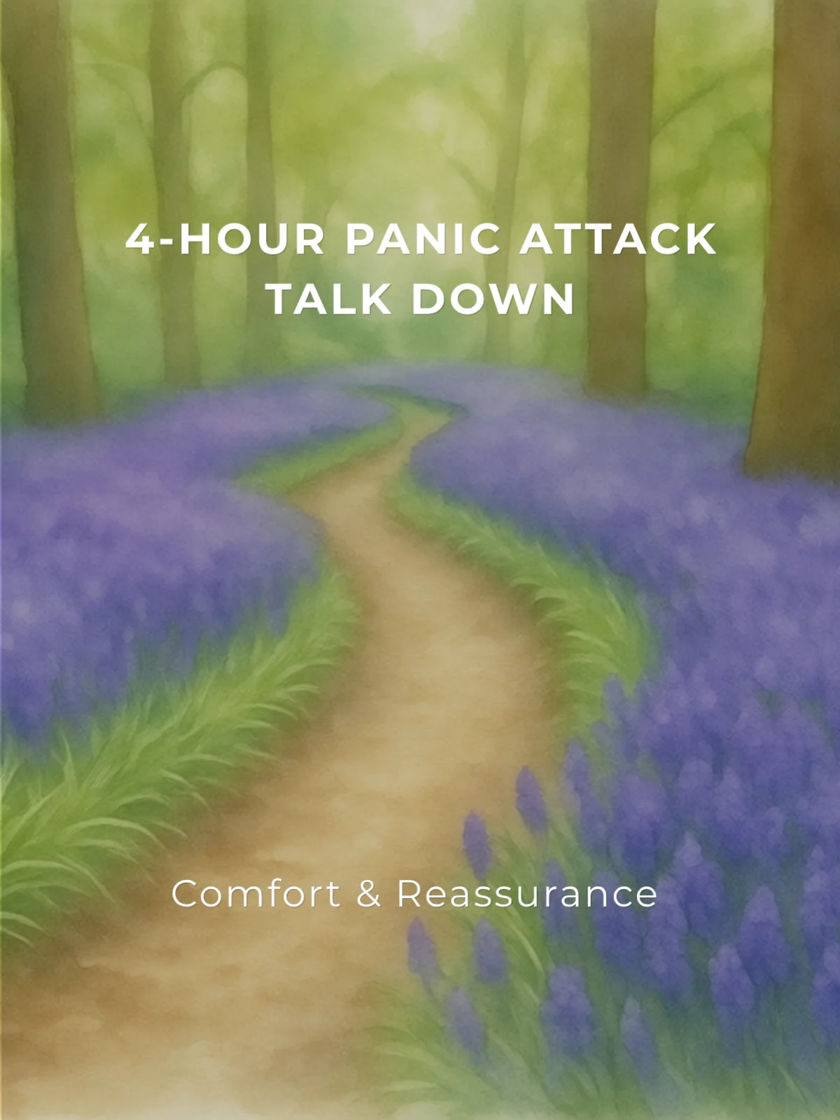 4-Hour Panic Attack Talk Down product image (1)