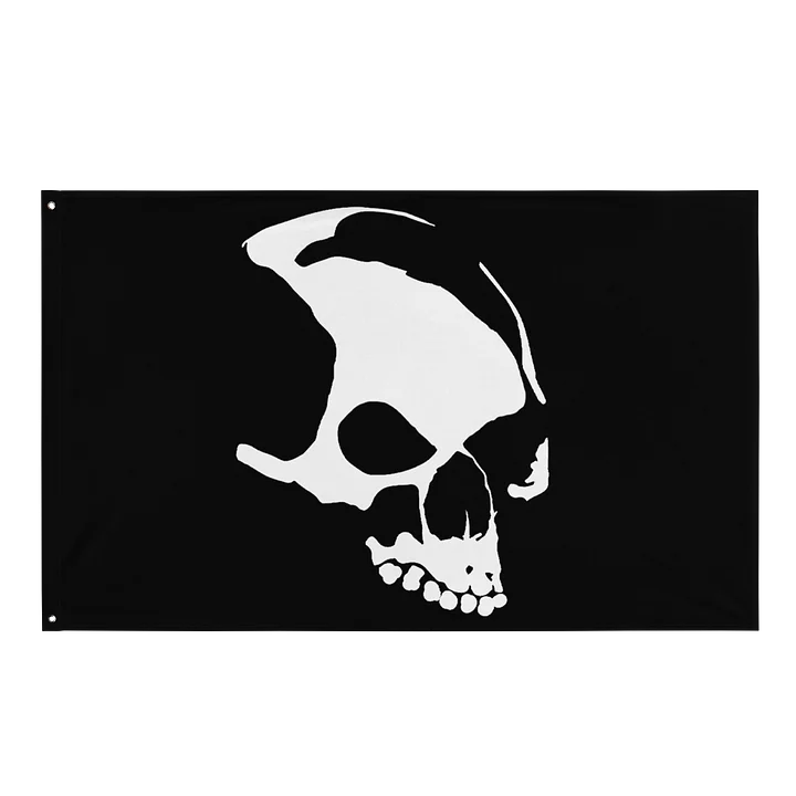 Armada Skull All-Black Flag product image (1)