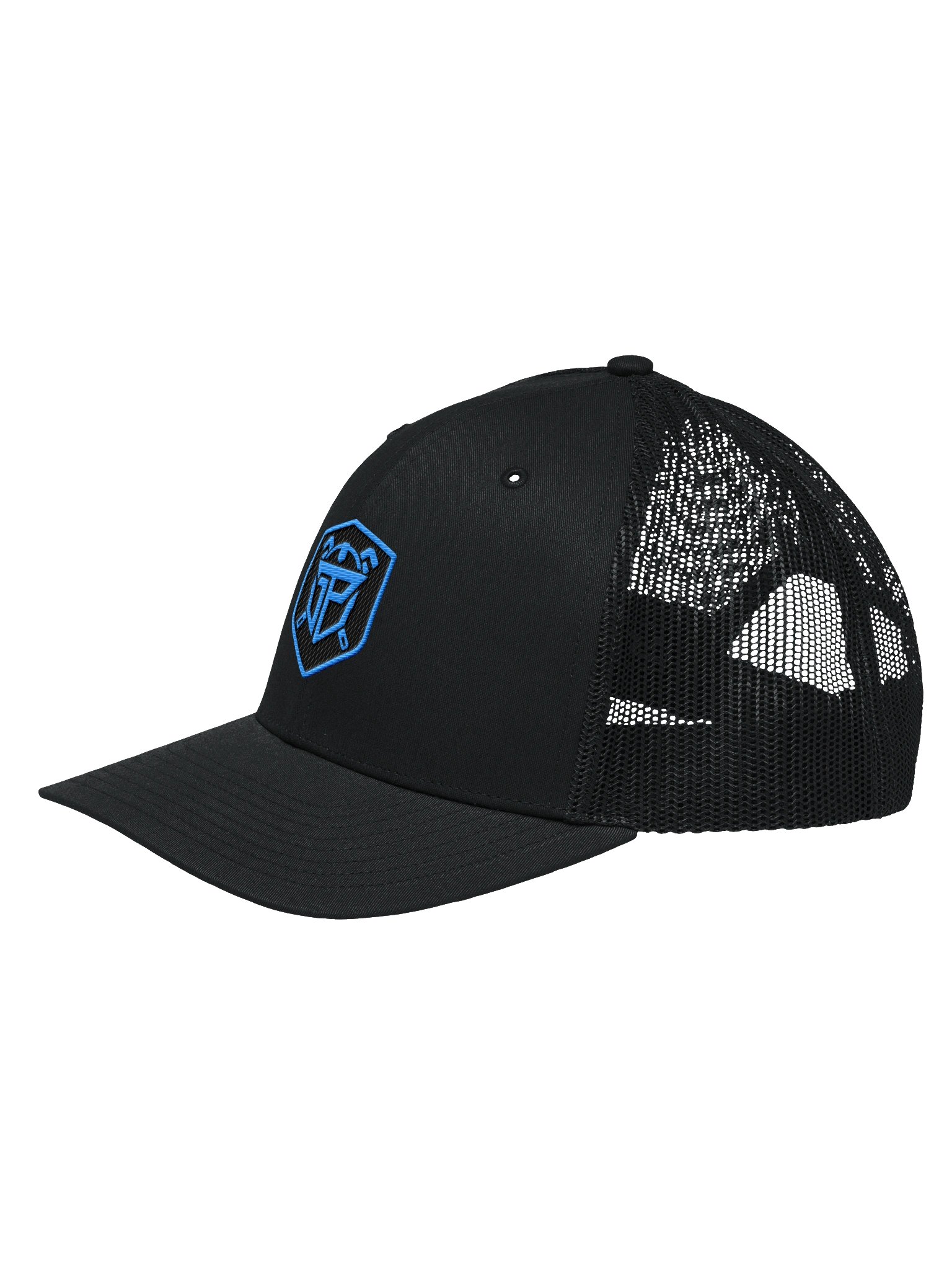 LEGACY HAT (BLUE LOGO) product image (2)
