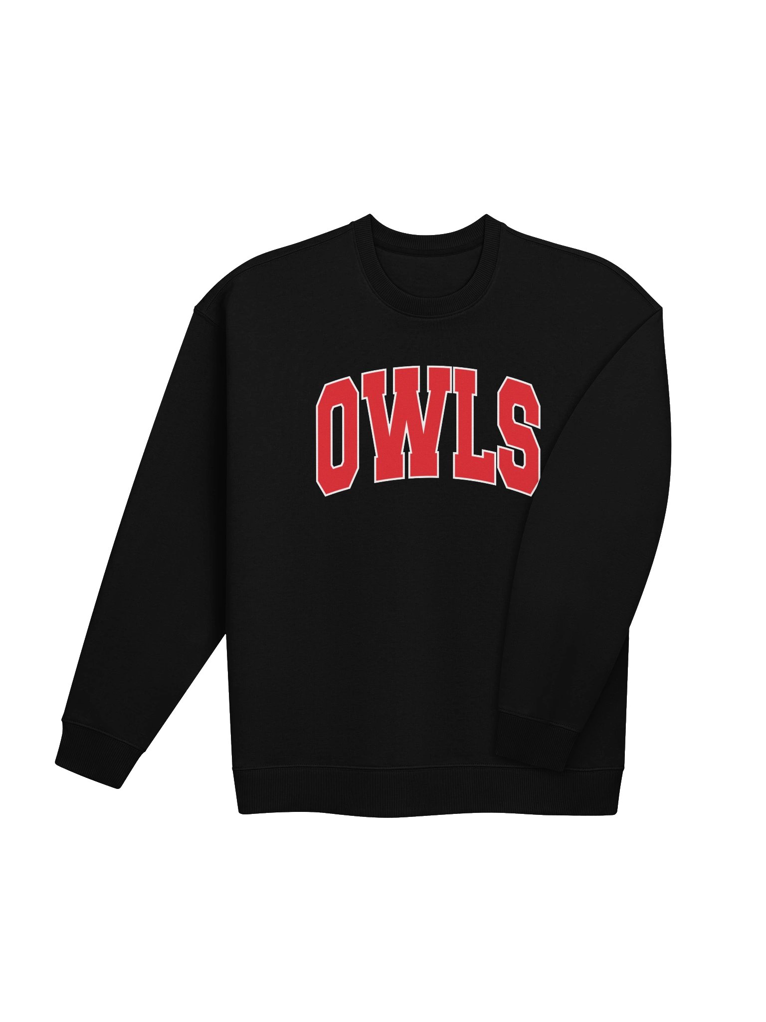 🦉 OWLS Oversized Sweatshirt product image (7)