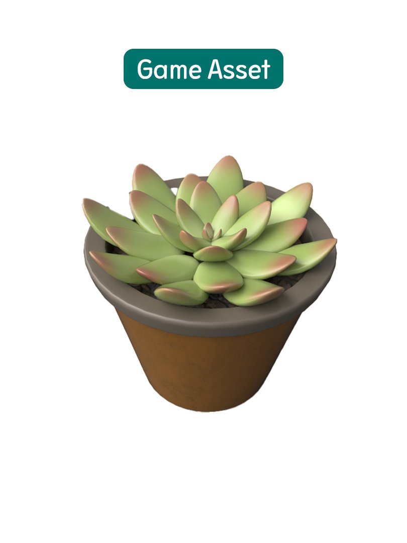 succulents product image (1)
