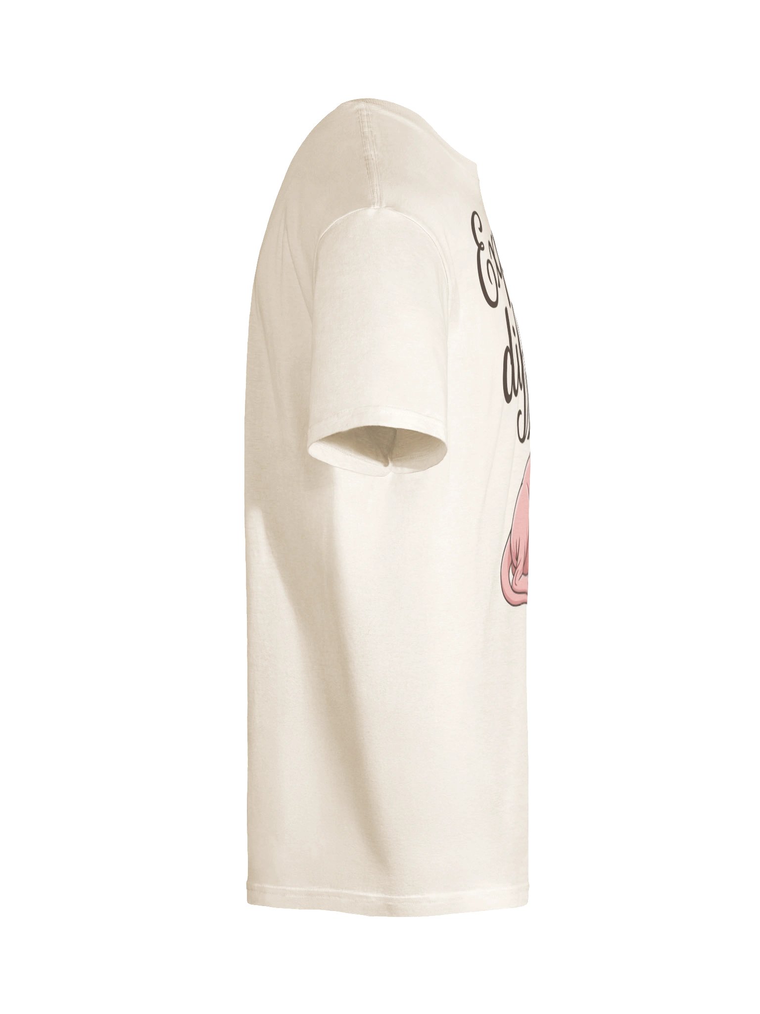 Expensive and Difficult Sphynx Cat Shirt product image (11)