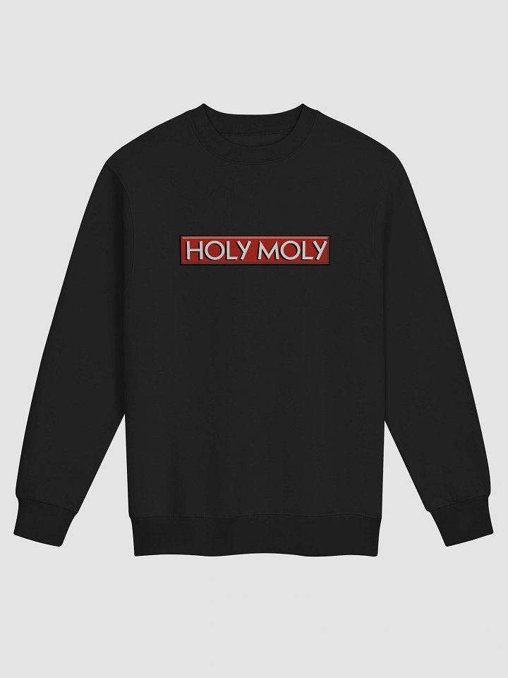 Holy Moly Sweater product image (5)