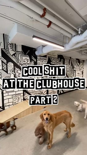 Cool sh*t at the Clubhouse pt. 2. Comment your favorite 👀

 🎸 Vinyl Wall
💨 Chalk graffiti Walls
 🏄 OG's Surfboard 

Stay tune...