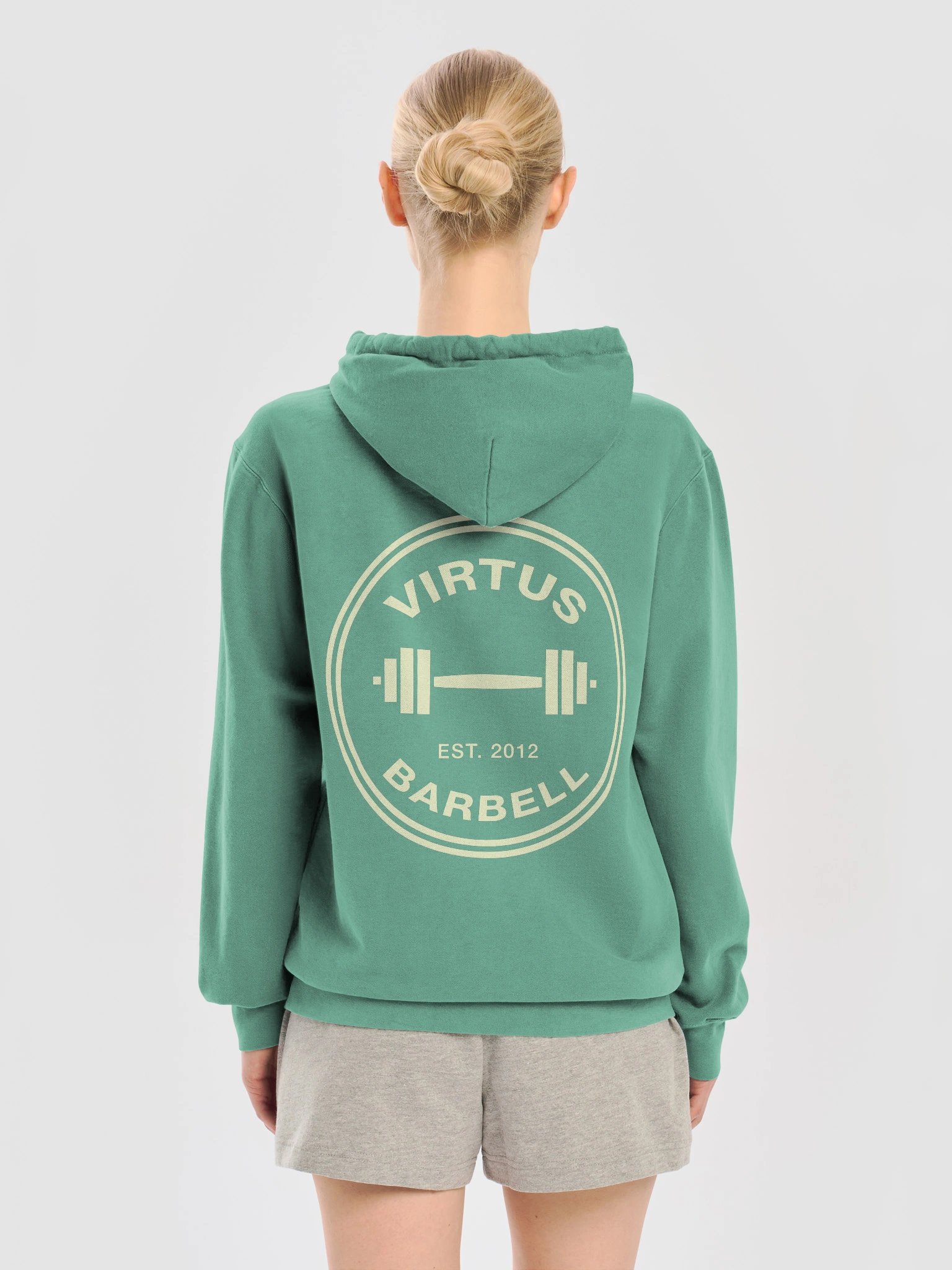 Virtus Vintage Collegiate Hoodie product image (70)