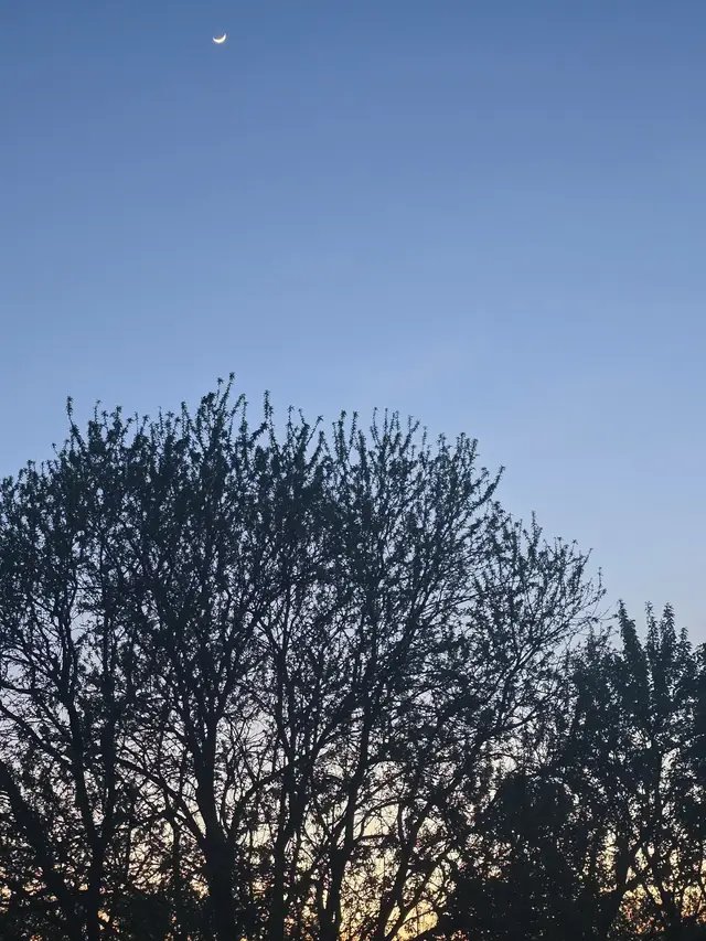📍 Location: kcmo 🗓️ Occasion: cuz 😊 Mood & feelings: bliss 💙 Sky description:  😍 