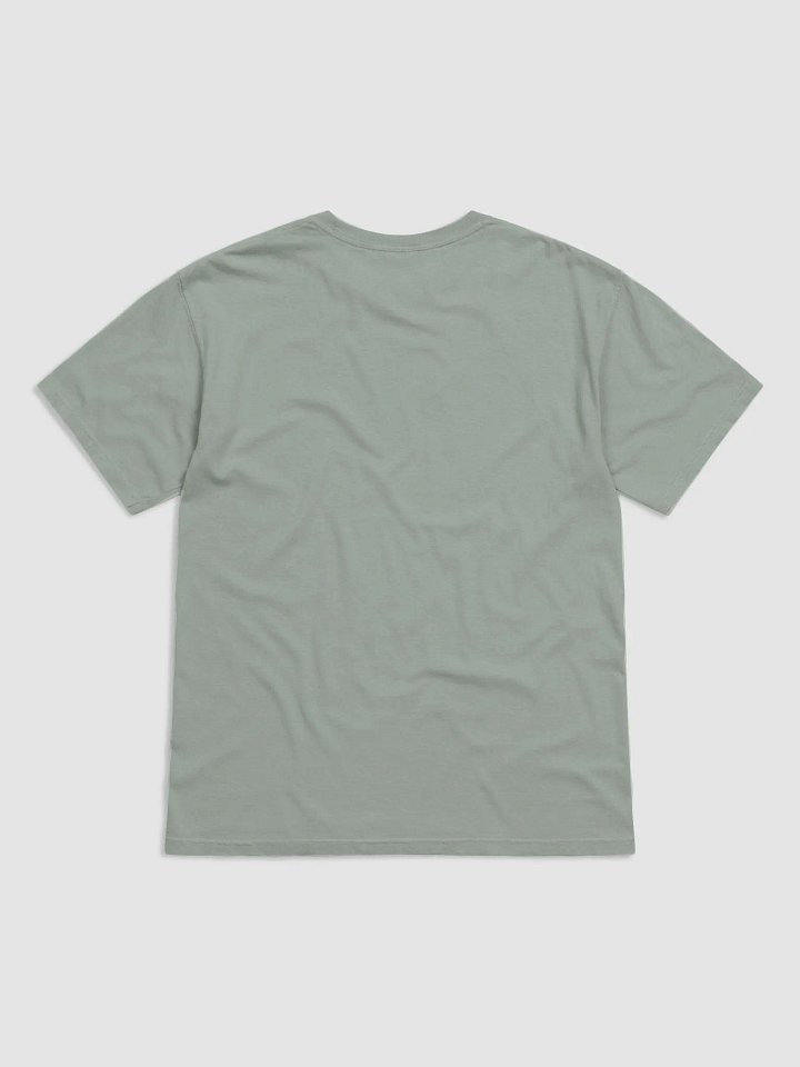 As You Can Tell I HATE Shirts product image (11)