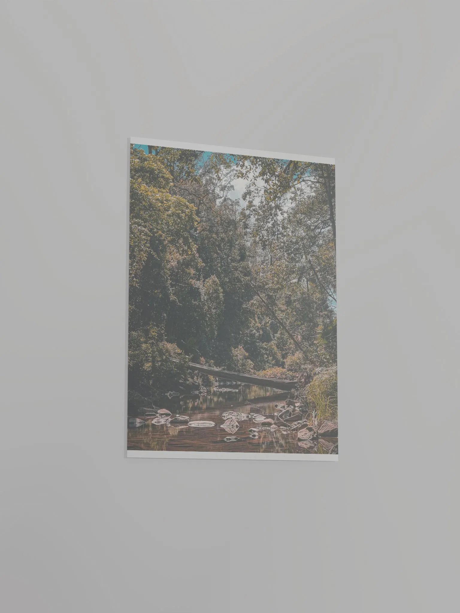 Eungella Broken River product image (13)