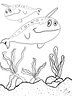 TSStechAngel's World - Narwhals Coloring Page
