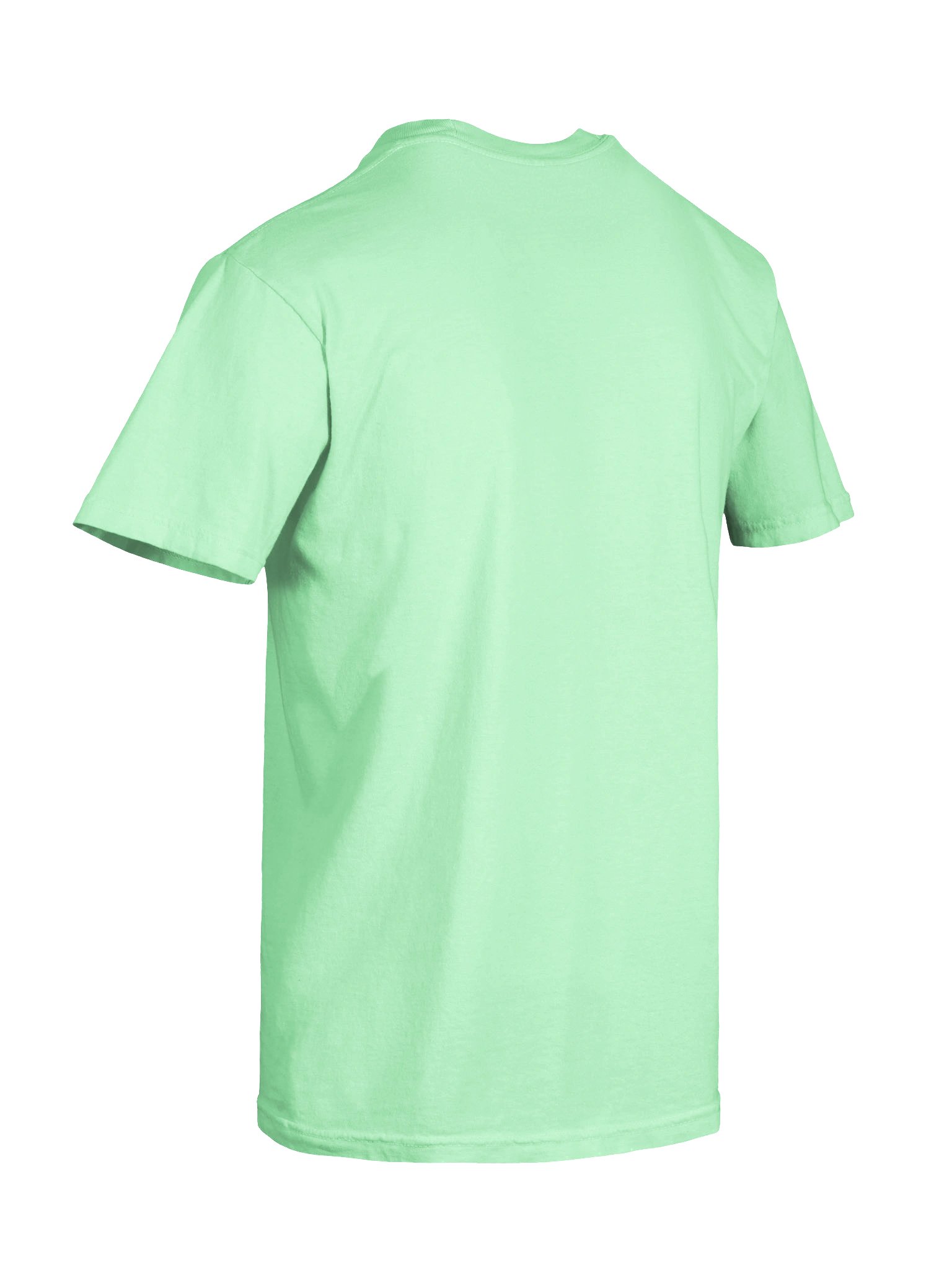 Vintage Folk Art Songbirds Graphic T-Shirt | Mid-Century Nature Graphic Tee product image (8)