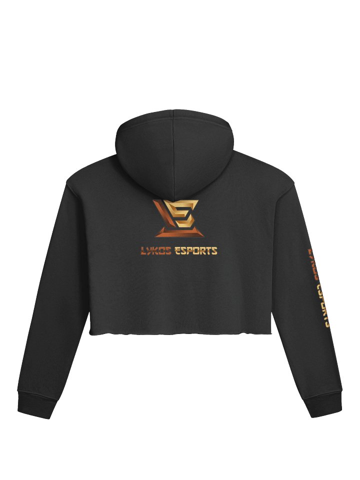 Lykos Esports Cropped Hoodie product image (4)