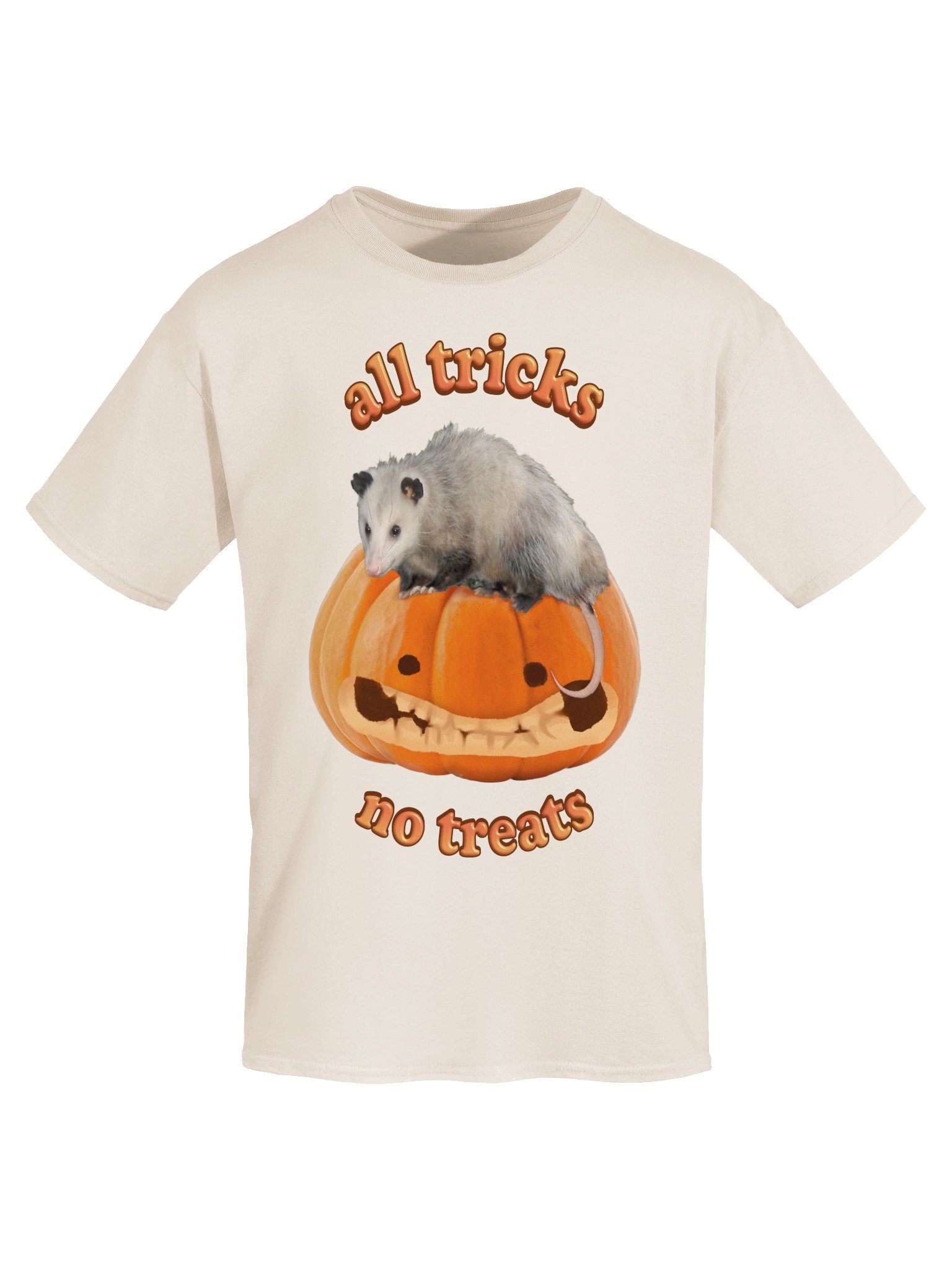 All Tricks No Treats - Autumn Pumpkin Possum T-shirt product image (5)