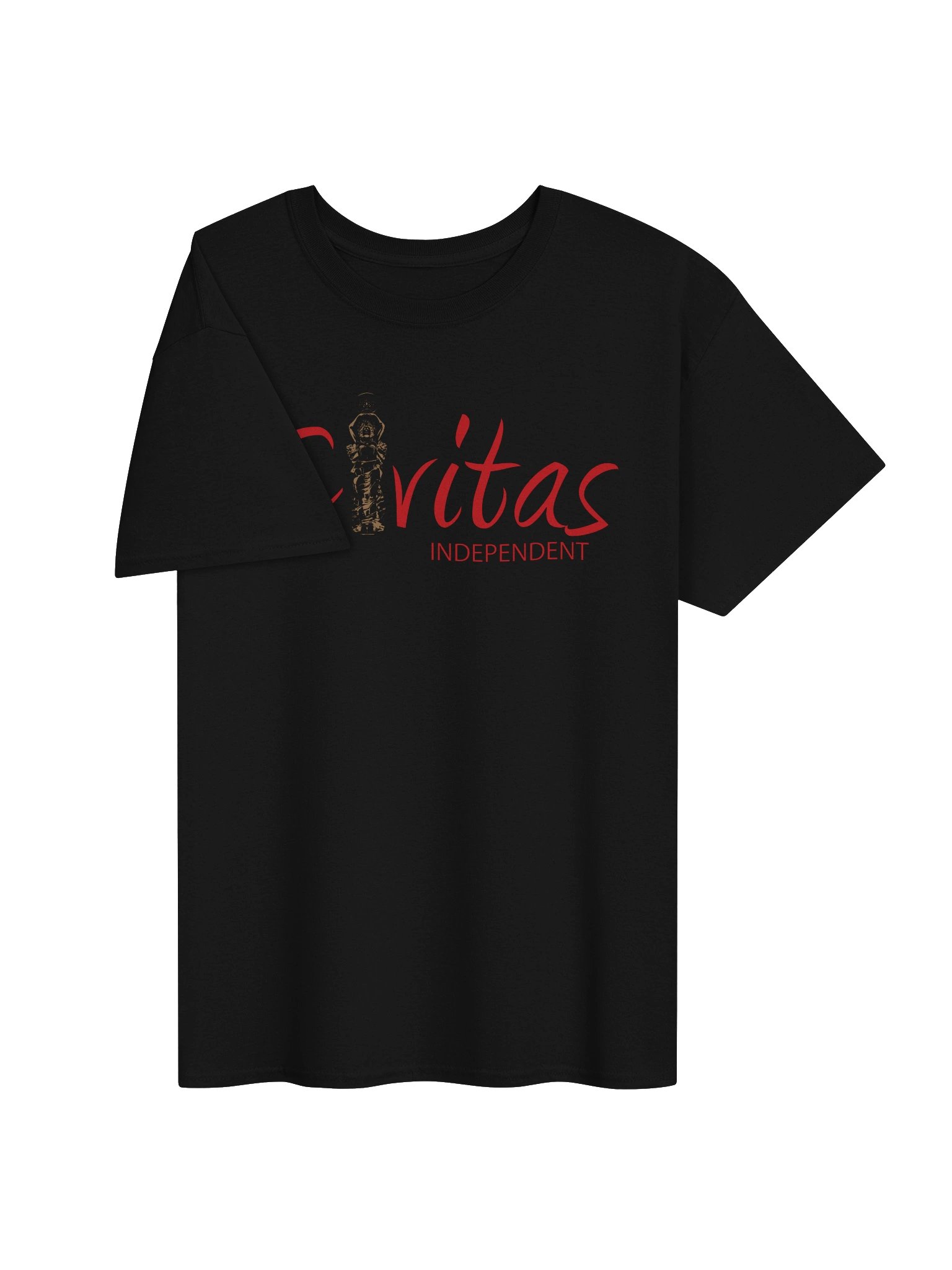 Logo T-Shirt (Red Logo) product image (3)