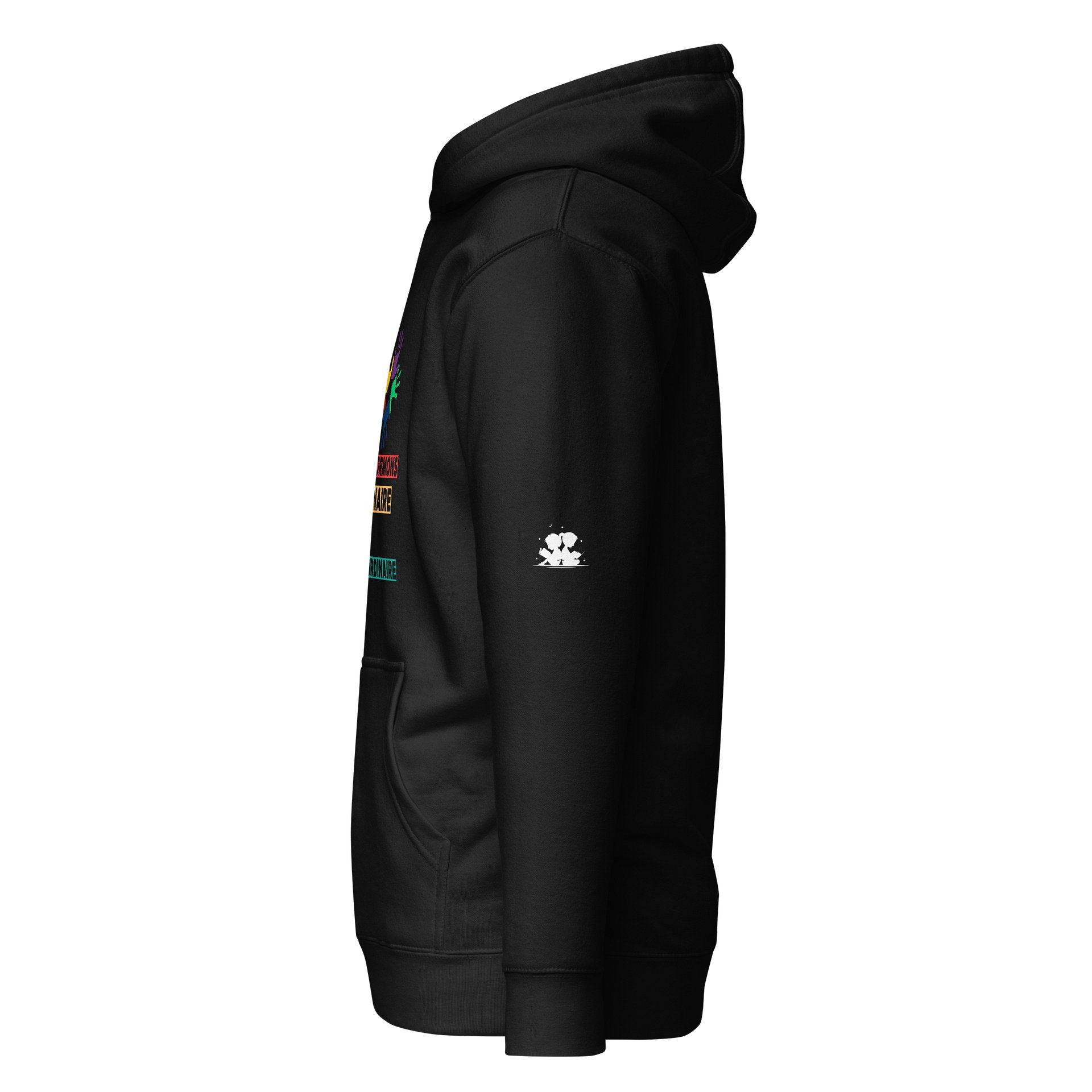 Transformons l’Ordinaire Hoodie product image (4)