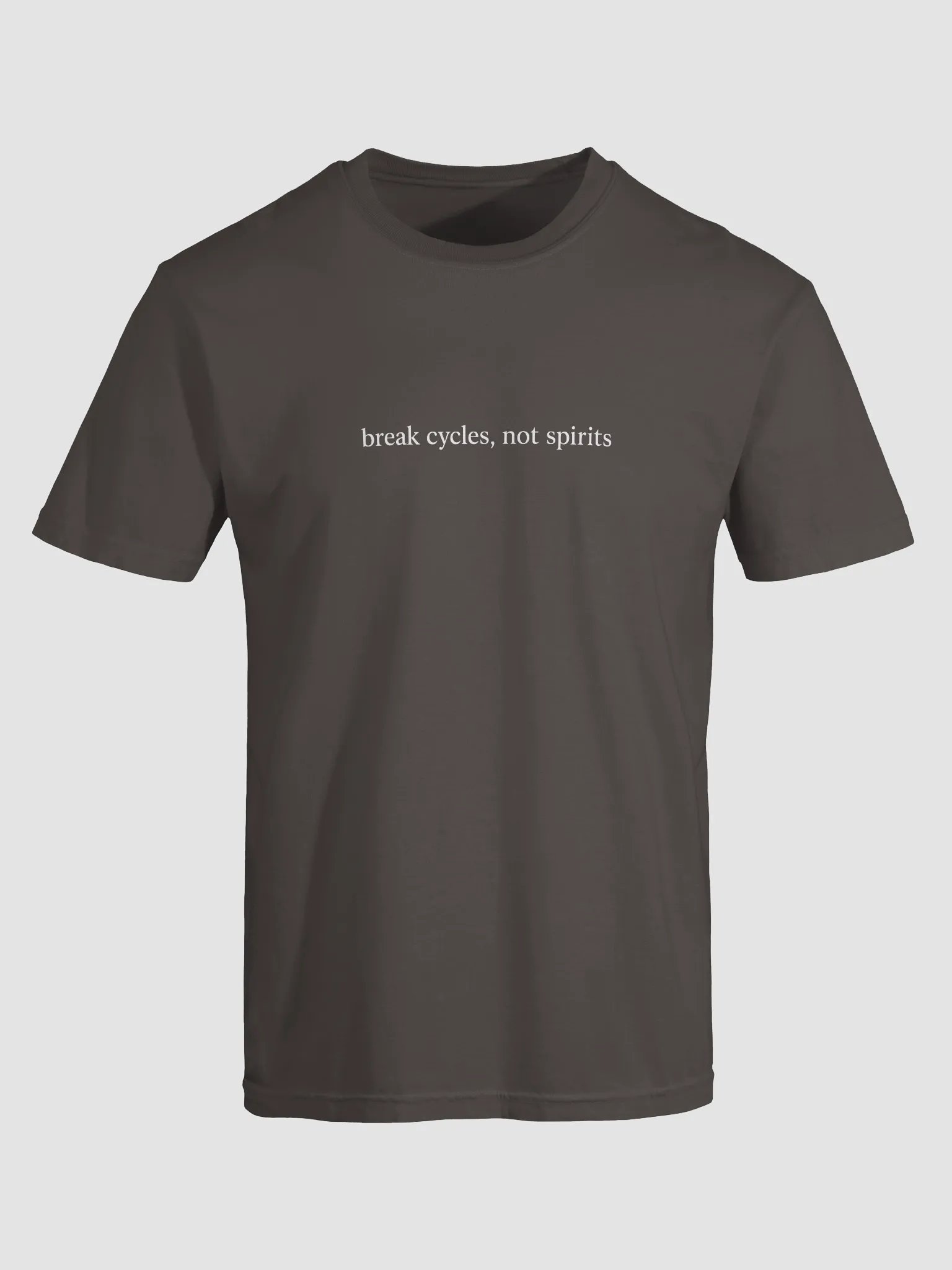 Break Cycles Not Spirits Tee product image (2)
