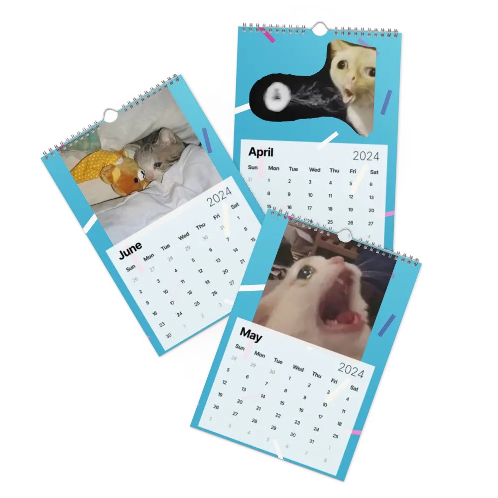 Wall Calendar (2024): Meme Cats product image (3)