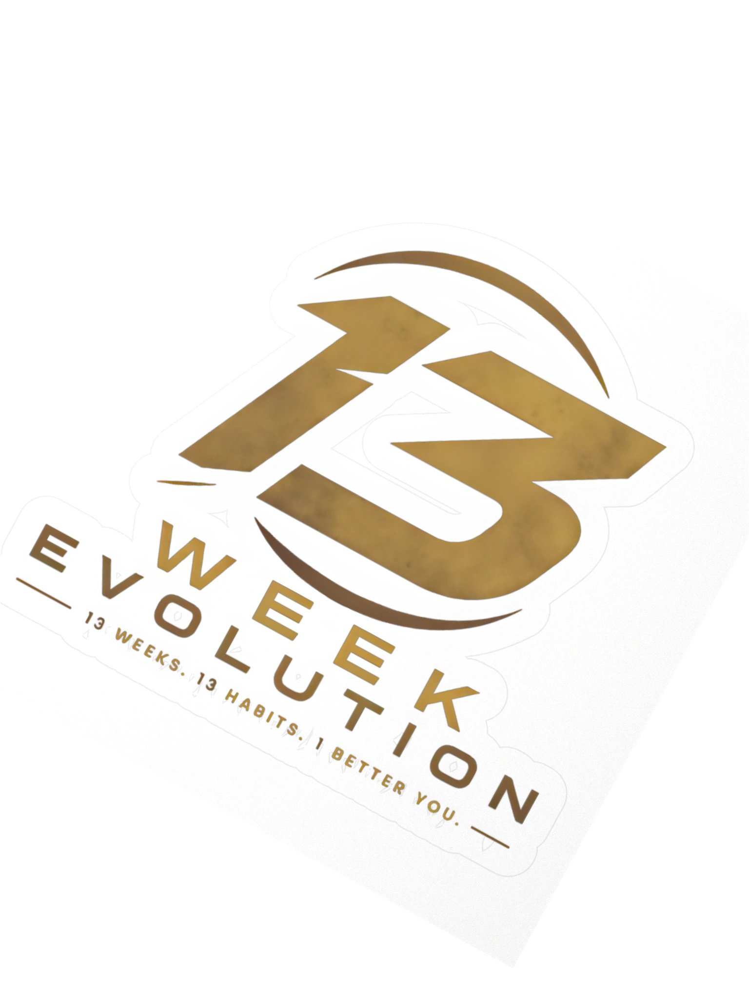 EVOLVE Die-Cut Sticker Pack product image (4)